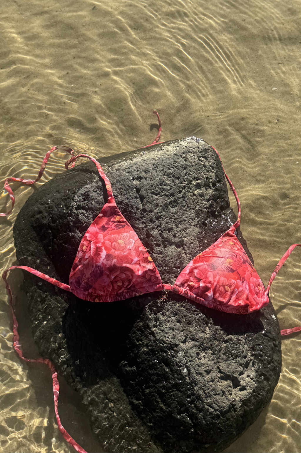 Emmy Triangle Top - Velvet Petals