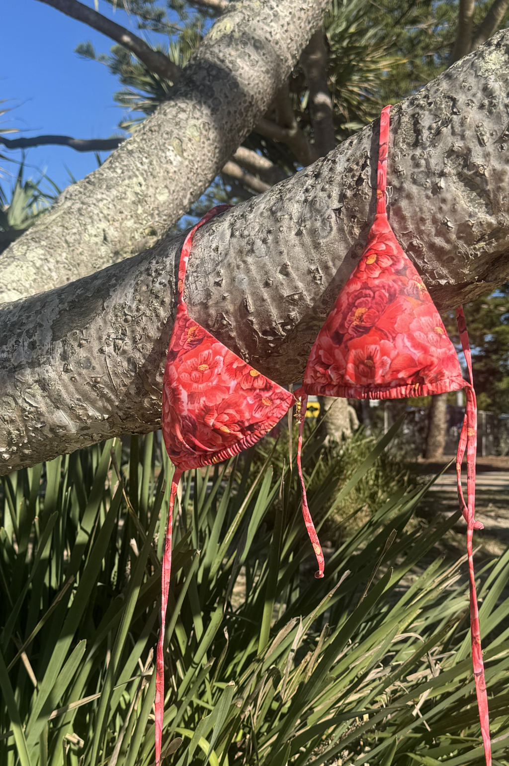 Emmy Triangle Top - Velvet Petals